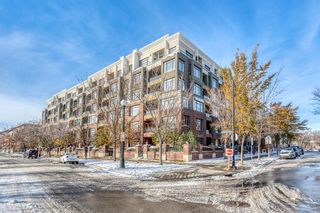 Photo 1: 230 930 Centre Avenue NE in Calgary: Bridgeland/Riverside Apartment for sale : MLS®# A2009779