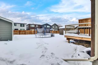 Photo 50: 898 Livingston Way NE in Calgary: Livingston Semi Detached (Half Duplex) for sale : MLS®# A2031503