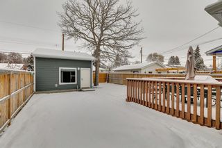 Photo 34: 1230 18 Avenue NW in Calgary: Capitol Hill Detached for sale : MLS®# A2022934