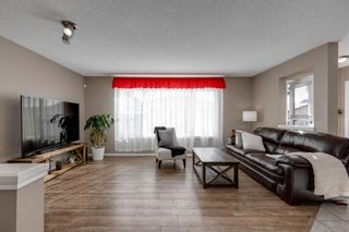 Photo 6: 138 Elgin Drive SE in Calgary: McKenzie Towne Detached for sale : MLS®# A1216902