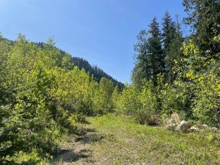 Photo 39: 3134 Mabel Lake Road in Lumby: Vacant Land for sale : MLS®# 10274152