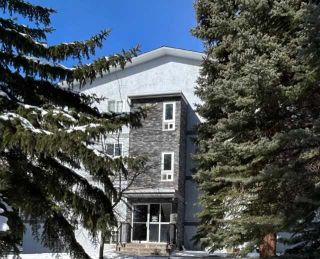 Photo 13: 302B 5601 Dalton Drive NW in Calgary: Dalhousie Apartment for sale : MLS®# A2113453