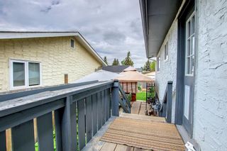 Photo 38: 127 Cedar Ridge Crescent SW in Calgary: Cedarbrae Detached for sale : MLS®# A1230821