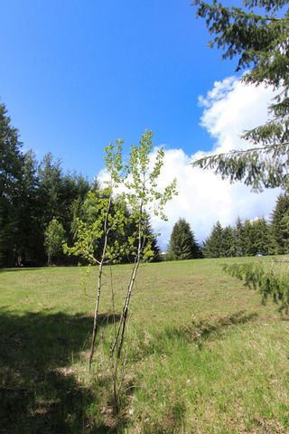 Photo 14: Lot 11 Squilax Anglemont Road in Anglemont: Land Only for sale : MLS®# 10241851