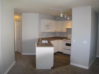 Photo 2: 203 608 19 Street SE: High River Apartment for sale : MLS®# A1026195