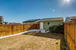 Photo 24: 169 CRANFORD Drive SE in Calgary: Cranston Detached for sale : MLS®# A1086236