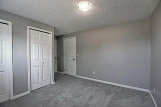 Photo 26: 119 Martinwood Court NE in Calgary: Martindale Detached for sale : MLS®# A1138566