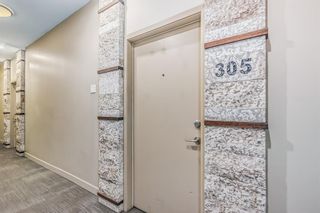 Photo 25: 305 8880 Horton Road SW in Calgary: Haysboro Apartment for sale : MLS®# A2048419