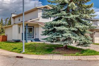Photo 41: 167 River Rock Crescent SE in Calgary: Riverbend Detached for sale : MLS®# A2130185
