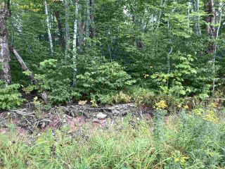Photo 2: Lot Westchester Road in Westchester Valley: 102N-North Of Hwy 104 Vacant Land for sale (Northern Region)  : MLS®# 202017457