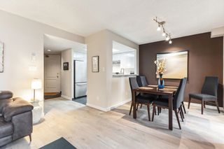 Photo 12: 1006 867 HAMILTON Street in Vancouver: Downtown VW Condo for sale in "Jardine's Lookout" (Vancouver West)  : MLS®# R2873954