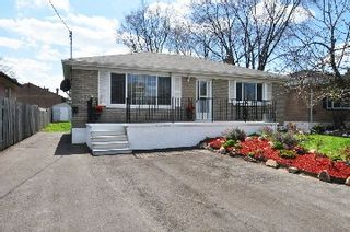 Photo 1: 7132 Honeysuckle Avenue in Mississauga: Malton House (Bungalow) for sale : MLS®# W2769466