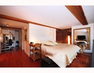 Photo 5: 501 528 BEATTY Street in Vancouver: Downtown VW Condo for sale in "BOWMAN LOFTS" (Vancouver West)  : MLS®# V770384