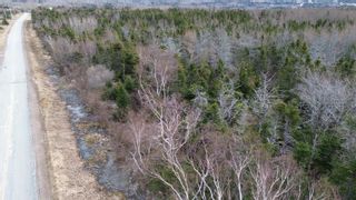 Photo 2: Plateau Road in Chéticamp: 306-Inverness County / Inverness Vacant Land for sale (Highland Region)  : MLS®# 202405435