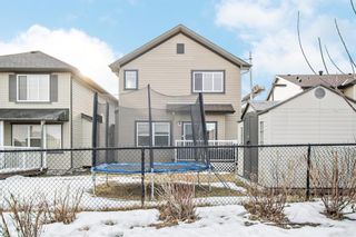 Photo 37: 301 Martin Crossing Place NE in Calgary: Martindale Detached for sale : MLS®# A1177108