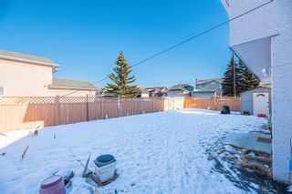 Photo 47: 76 Applewood Way SE in Calgary: Applewood Park Detached for sale : MLS®# A2019732