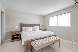 Photo 18: 4 Beacham Rise NW in Calgary: Beddington Heights Detached for sale : MLS®# A2008243