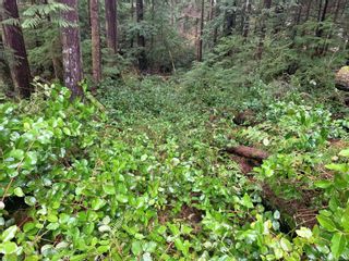 Photo 27: Lot 61 Busby Island in Sonora Island: Isl Small Islands (Campbell River Area) Land for sale (Islands)  : MLS®# 893766