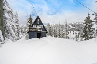 Photo 29: 710 Glacier View Cir in Courtenay: CV Mt Washington Single Family Residence for sale (Comox Valley)  : MLS®# 957038