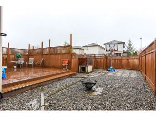 Photo 19: 24299 102 Avenue in Maple Ridge: Albion House for sale in "COUNTRY LANE" : MLS®# V1113477