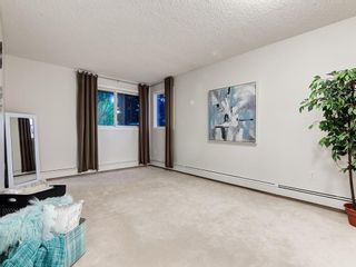 Photo 14: 102 1001 68 Avenue SW in Calgary: Kelvin Grove Apartment for sale : MLS®# C4221985