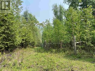 Photo 10: 1531 WEST FRASER ROAD in Quesnel: Vacant Land for sale : MLS®# R2778451