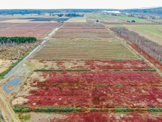 Photo 25: 8201 DYKE Road in Abbotsford: Bradner Agri-Business for sale : MLS®# C8051831