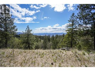 Photo 18: 222 Grizzly Place in Osoyoos: Vacant Land for sale : MLS®# 10310334