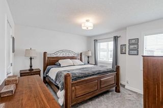 Photo 28: 424 Bayview Way SW: Airdrie Detached for sale : MLS®# A2122924