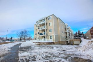 Photo 2: 220 290 Shawville Way SE in Calgary: Shawnessy Apartment for sale : MLS®# A1056416