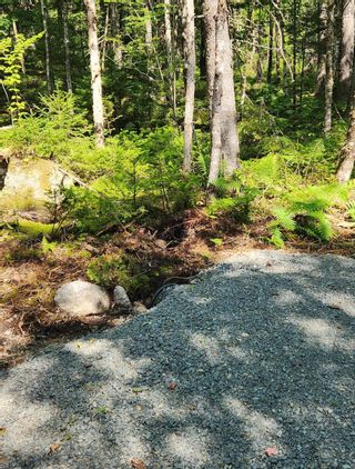 Photo 5: Lot 227A Armstrong Lake West Road in Vaughan: Hants County Vacant Land for sale (Annapolis Valley)  : MLS®# 202314109