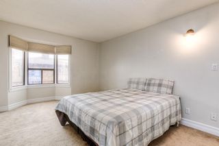 Photo 15: 401 3719C 49 Street NW in Calgary: Varsity Apartment for sale : MLS®# A1217325