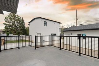 Photo 19: 2446 23 Street NW in Calgary: Banff Trail Detached for sale : MLS®# A2074879