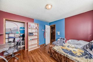 Photo 25: 3431 32A Avenue SE in Calgary: Dover Detached for sale : MLS®# A2126947