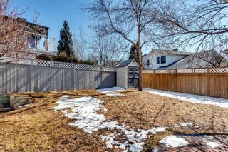 Photo 40: 55 DOUGLAS WOODS Terrace SE in Calgary: Douglasdale/Glen Detached for sale : MLS®# C4299726