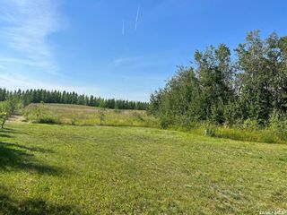Photo 3: Lucien Lake 5 Acre Lot. in Lucien Lake: Lot/Land for sale : MLS®# SK919596