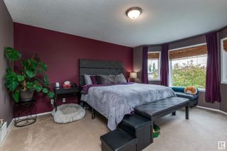 Photo 20:  in Edmonton: Zone 58 House for sale : MLS®# E4392255