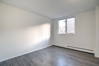 Photo 20: 202 225 25 Avenue SW in Calgary: Mission Apartment for sale : MLS®# A1163942