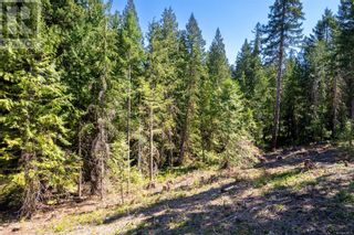 Photo 10: Lot 13 Decourcy Dr in Nanaimo: Vacant Land for sale : MLS®# 954013