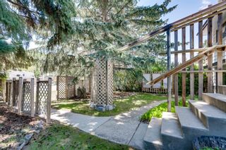 Photo 34: 8008 33 Avenue NW in Calgary: Bowness Detached for sale : MLS®# A1128426