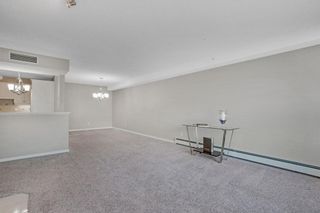 Photo 16: 319 9449 19 Street SW in Calgary: Palliser Apartment for sale : MLS®# A1050342