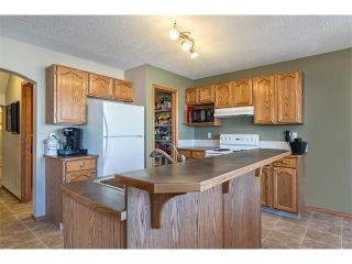 Photo 5: 270 CANALS Circle SW: Airdrie House for sale : MLS®# C4087062