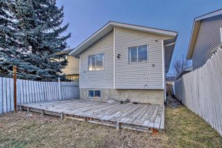 Photo 34: 75 Martinwood Way NE in Calgary: Martindale Detached for sale : MLS®# A2098015