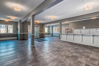 Photo 22: 217 8 Sage Hill Terrace NW in Calgary: Sage Hill Apartment for sale : MLS®# A2036504