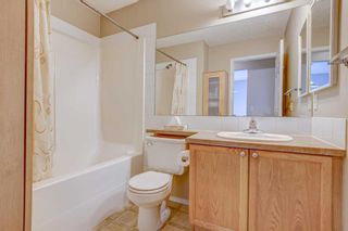 Photo 23: 40 Copperfield Heights SE in Calgary: Copperfield Detached for sale : MLS®# A2101270