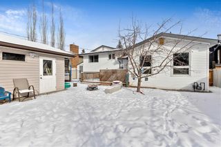Photo 34: 359 Queen Charlotte RD SE in Calgary: Queensland RES for sale : MLS®# C4287072