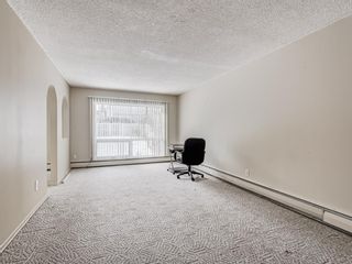 Photo 13: 101 6919 Elbow Drive SW in Calgary: Kelvin Grove Apartment for sale : MLS®# A1232796