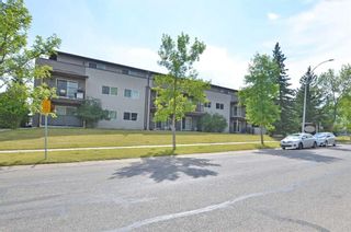 Photo 12: 306 280 Banister Drive: Okotoks Apartment for sale : MLS®# A2123221