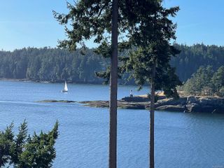Photo 60: 3356 Stephenson Point Rd in Nanaimo: Na Hammond Bay House for sale : MLS®# 915381