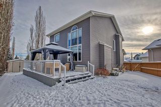 Photo 44: 637 Victoria Beach Bay: Chestermere Detached for sale : MLS®# A2102851